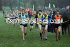 Girls under-15 Northern Cross Country Champs., Witton Park, Blackburn. Photo: David T. Hewitson/Sports for All Pics